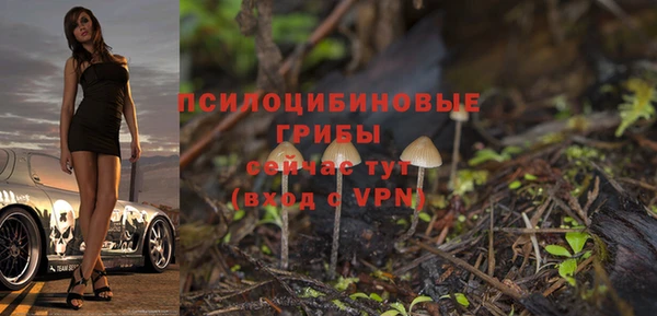 spice Балабаново