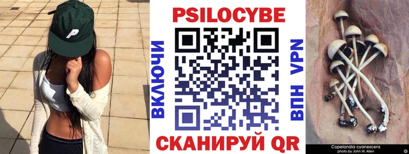 Псилоцибиновые грибы Psilocybine cubensis Сосенский