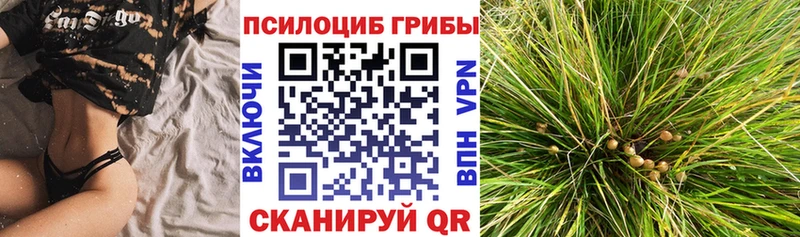 Галлюциногенные грибы мухоморы  МЕГА ТОР  Сосенский 