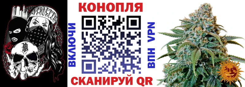 Каннабис SATIVA & INDICA  Сосенский 